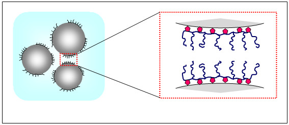 Ionicity groups act as segments