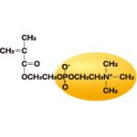 Lipidure®-PC